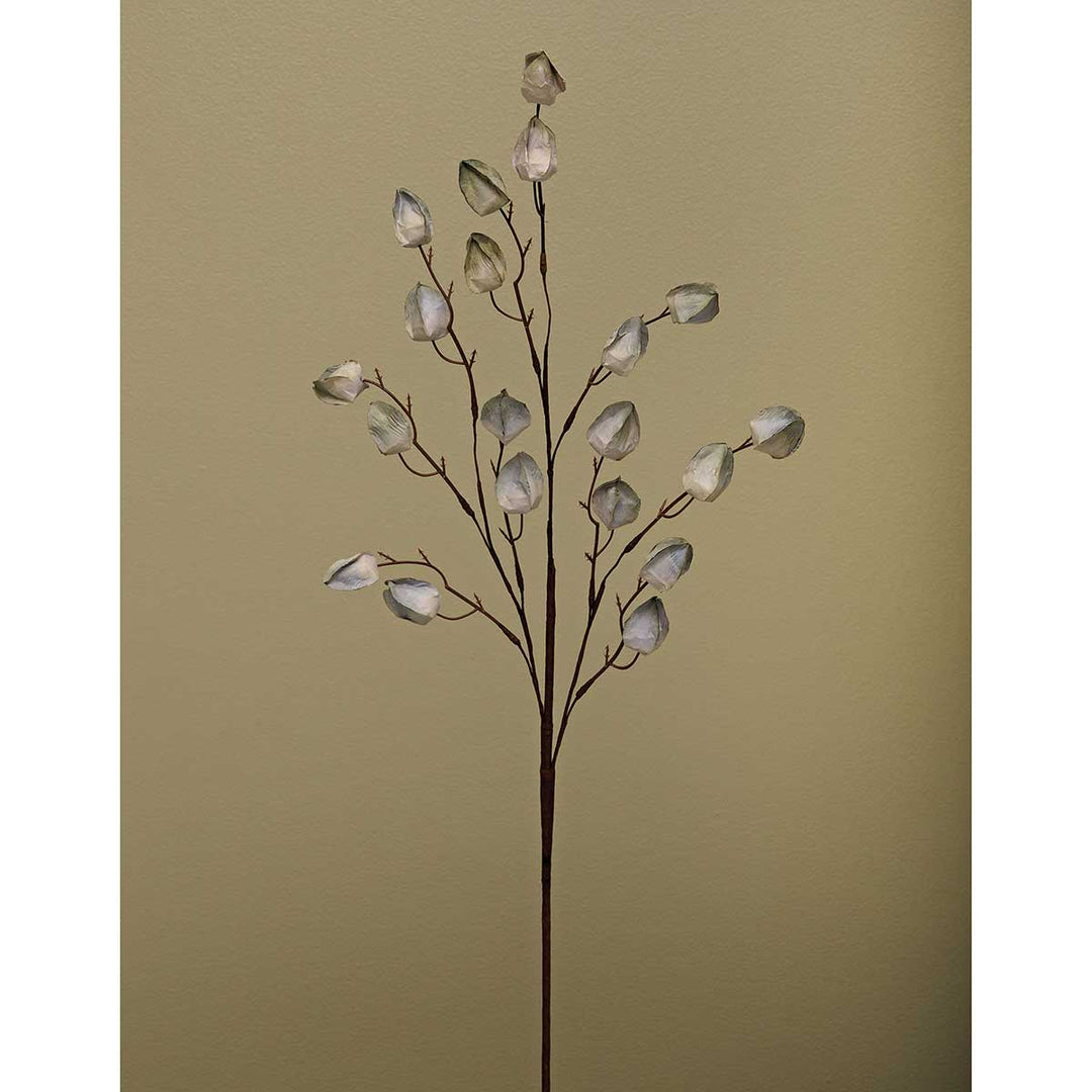 Grey Chinese Lantern Spray