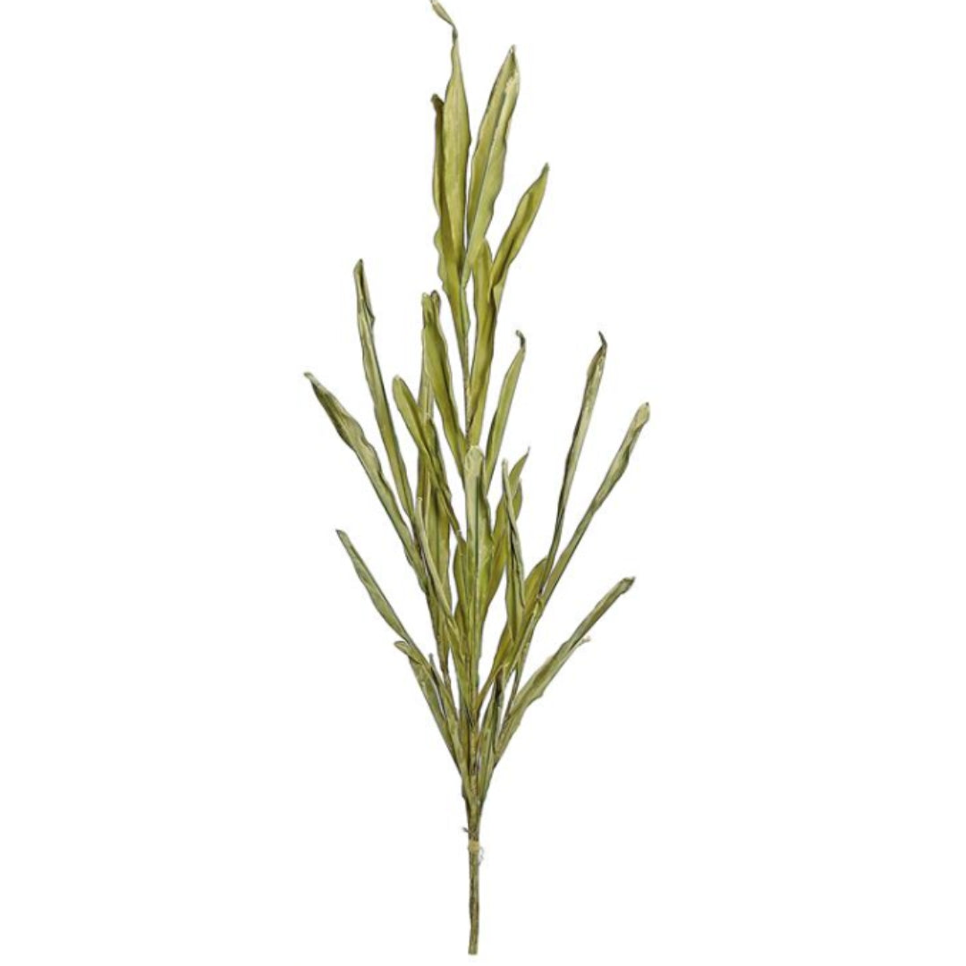 Sage Dried River Grass Bundle