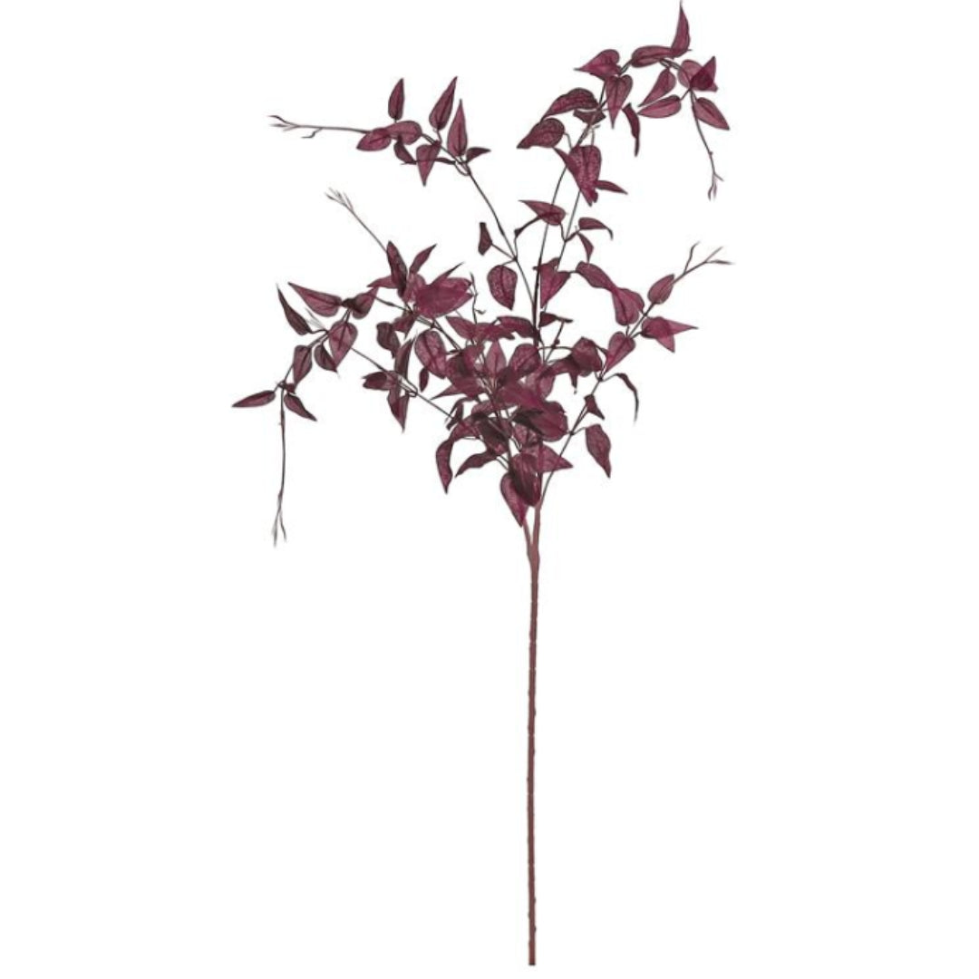 Burgundy Clematis Foliage Vine
