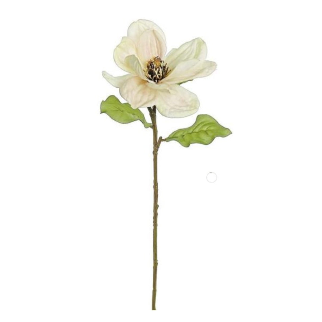Vanilla Magnolia Bloom