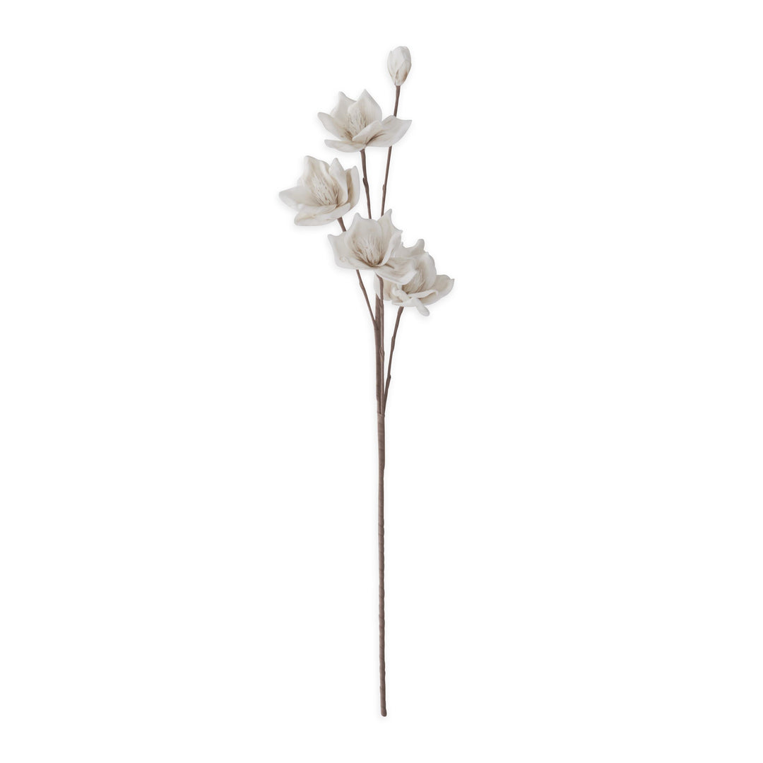 White Eva Bloom