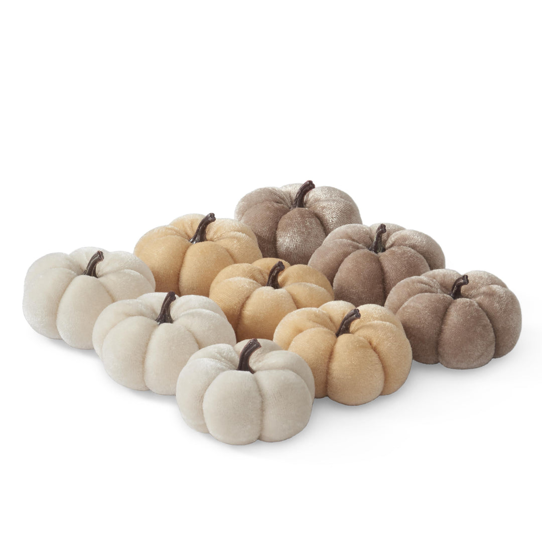 Light Toned Velvet Filler Pumpkins