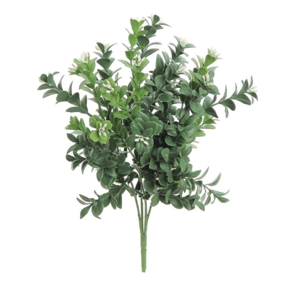 Green Boxwood Bush with White Florals