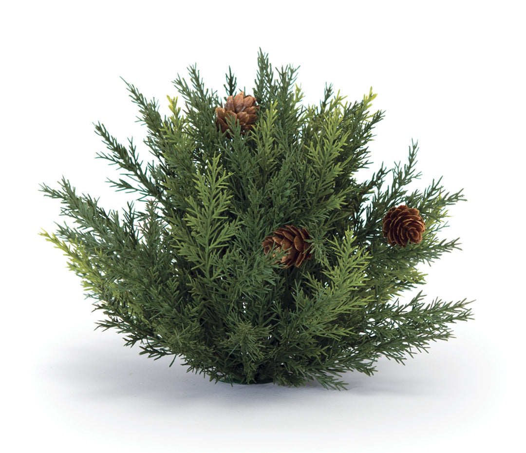 Arborvitae Half Orb