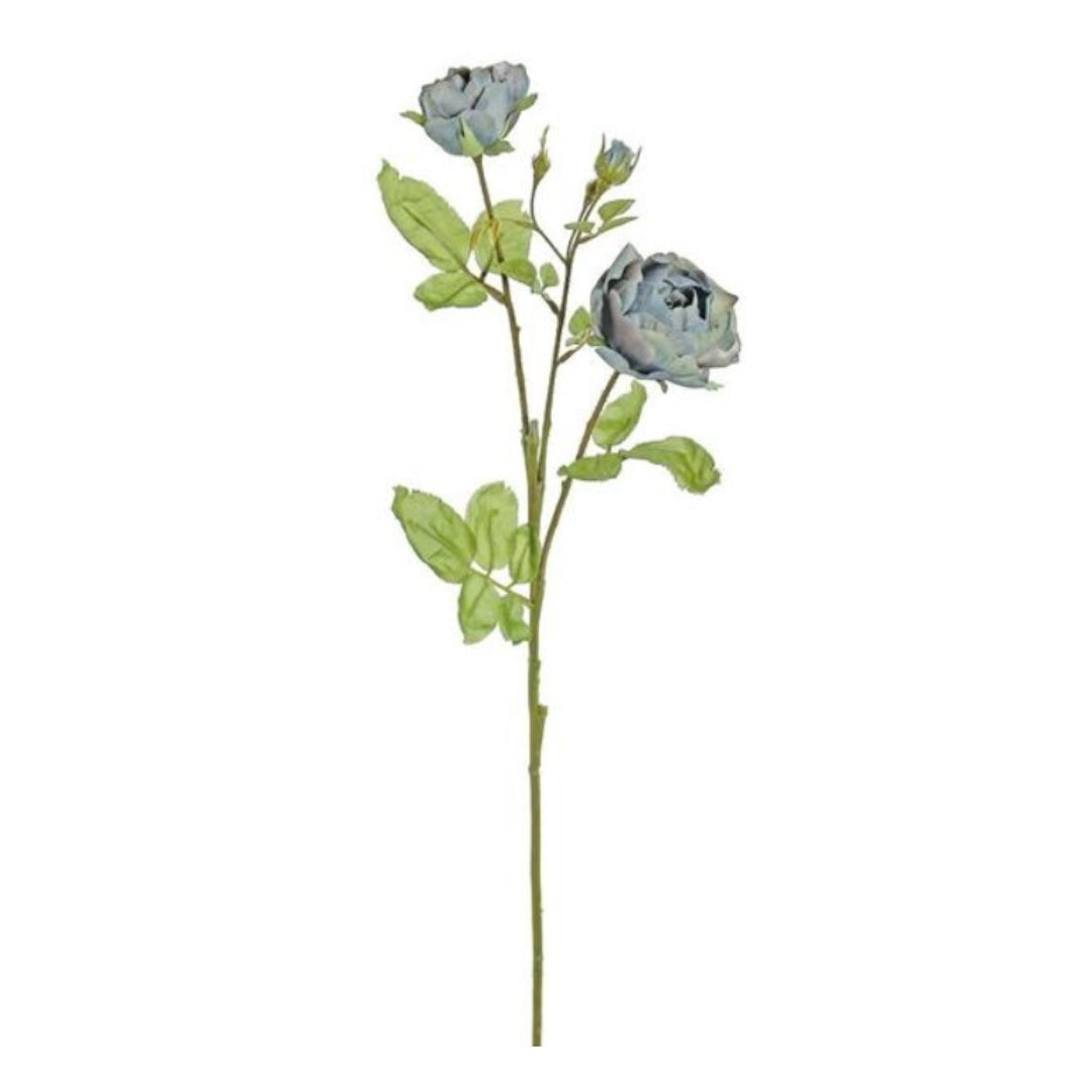 Antique Blue Edith Rose Stem
