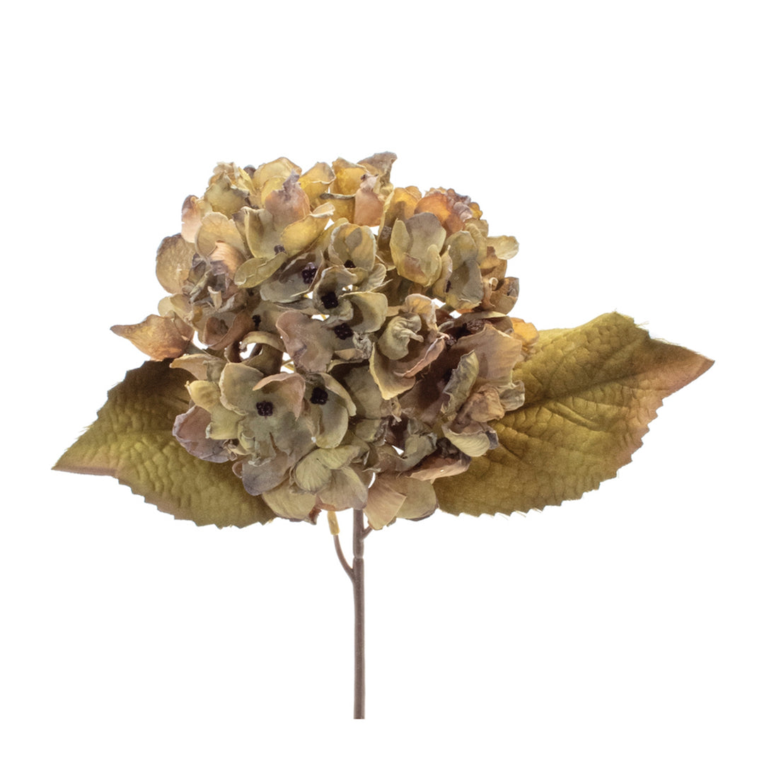 Beige Multi Hydrangea Stem
