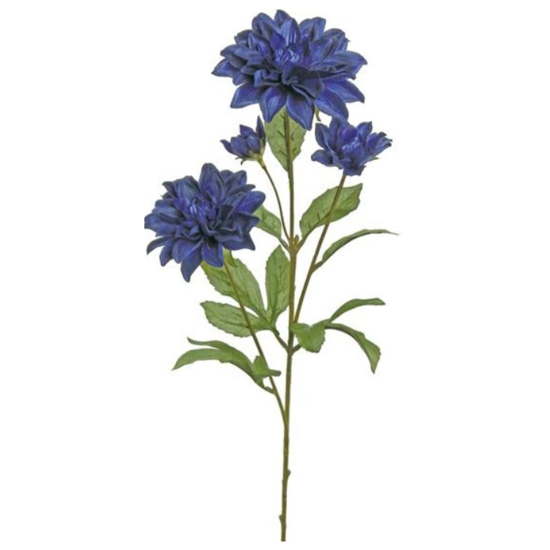 Blue Dahlia