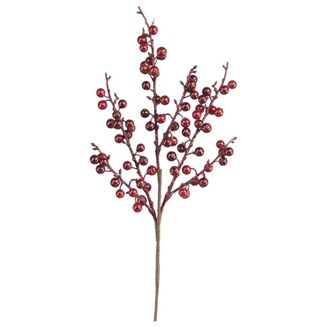 Burgundy Ilex Berry Pick