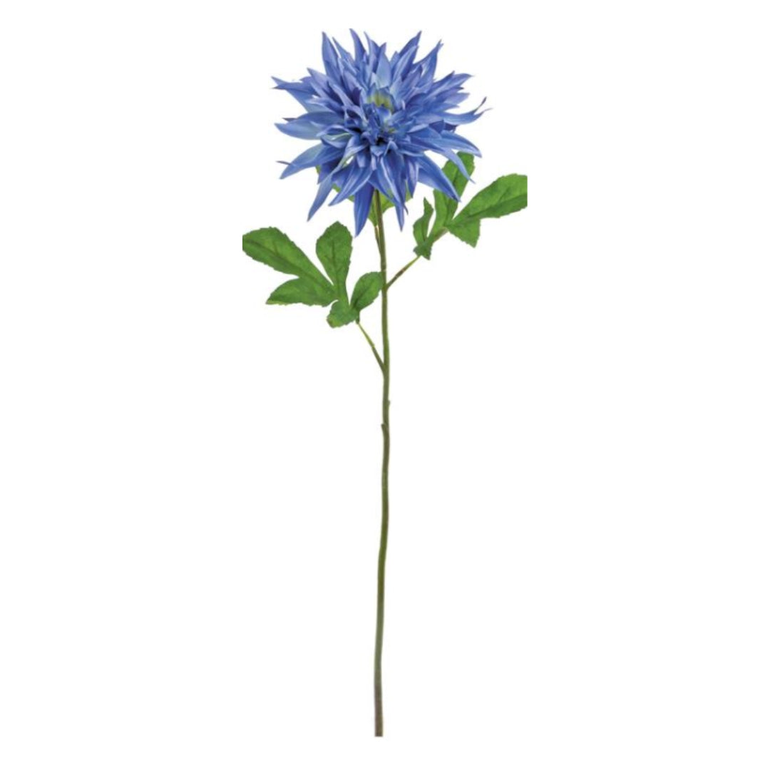 Blue Flame Dahlia