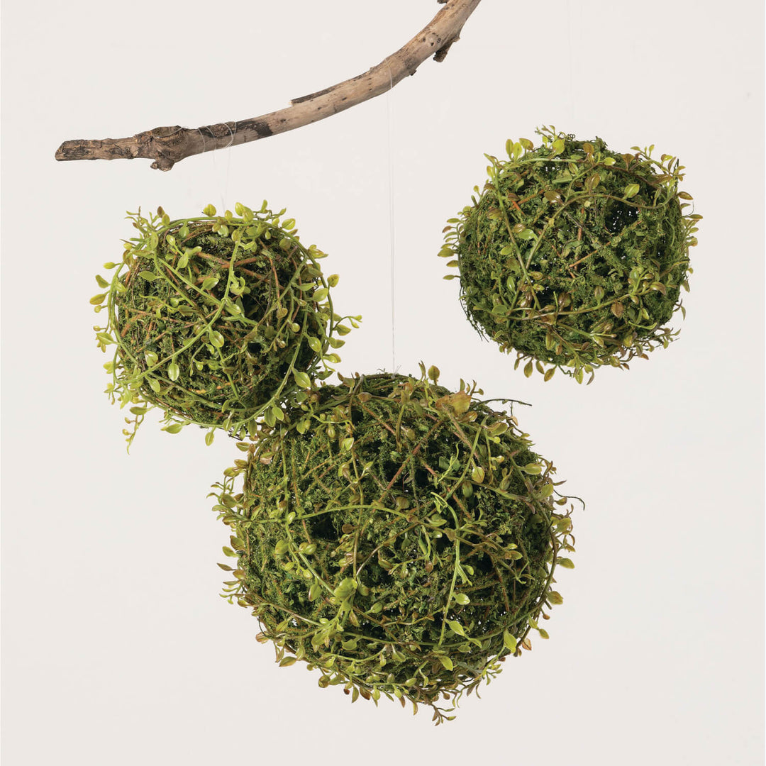 Mossy Leaf Vine Orb