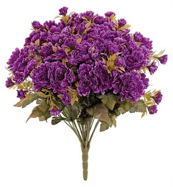 Purple Mini Mum Bush