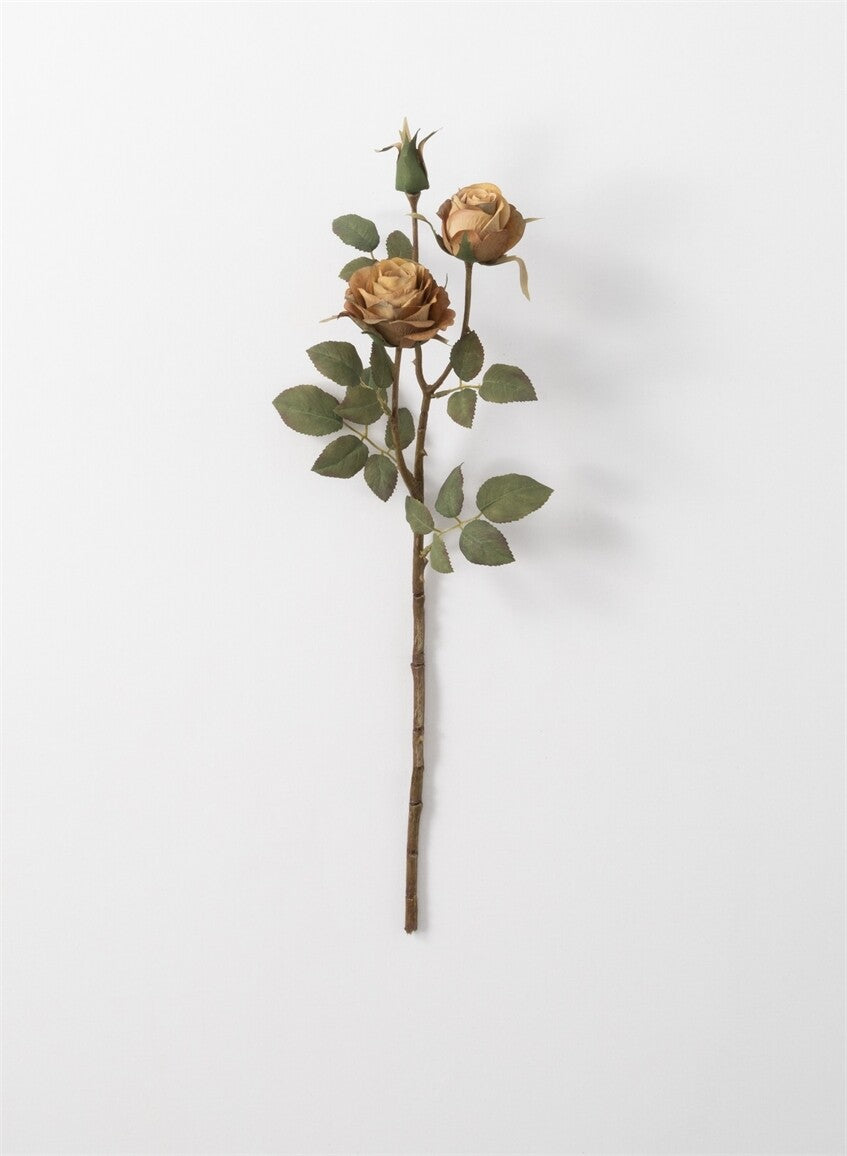 Beige Rose Stem