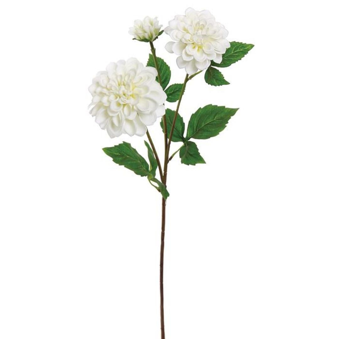 White Dahlia Stem