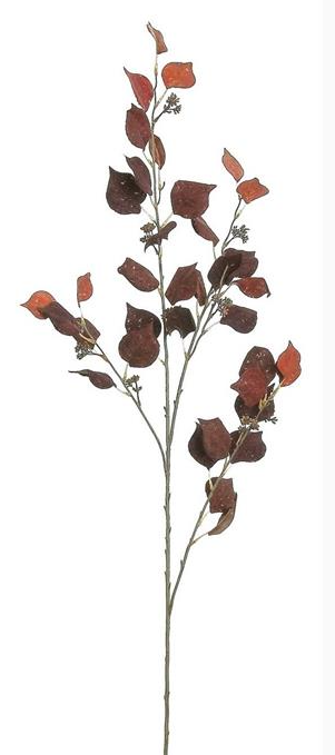 Burgundy Autumn Lilac Foliage Spray