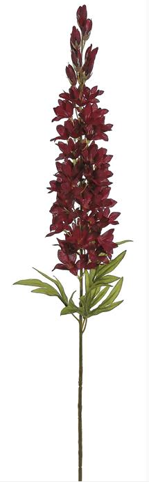 Burgundy Larkspur Spike