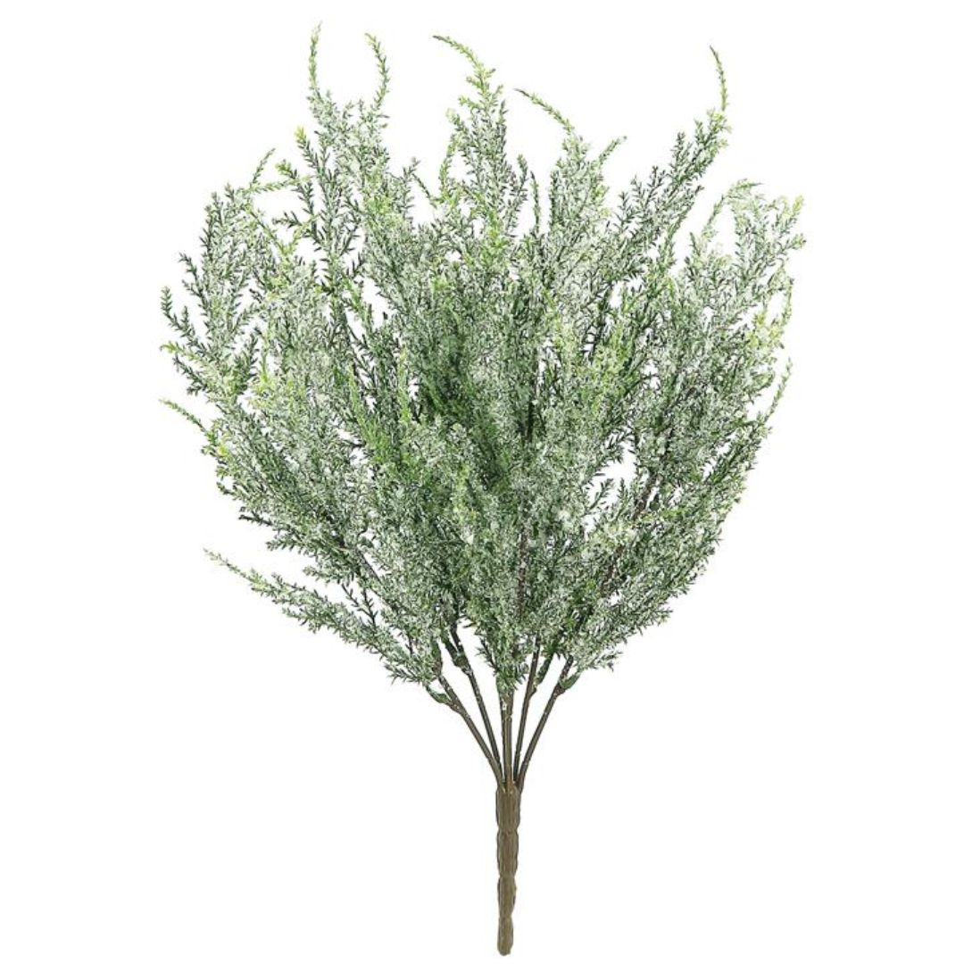 Frost Green Cedar Bush