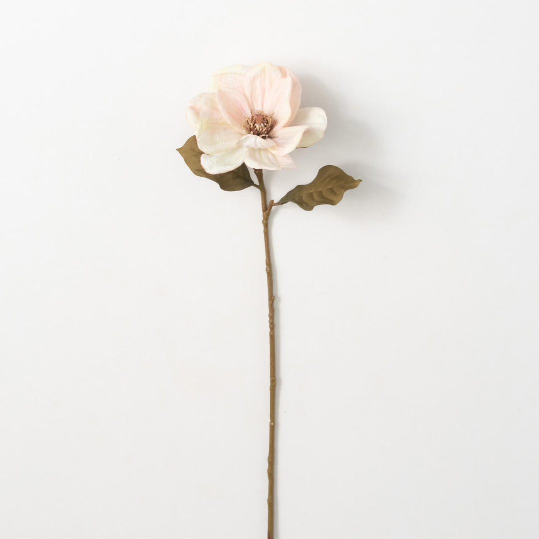 Cream Magnolia Stem