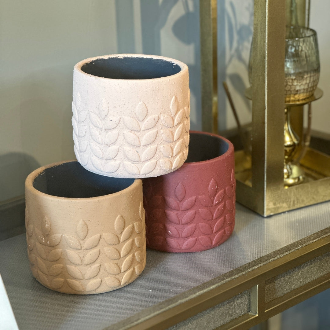 Pots & Planters