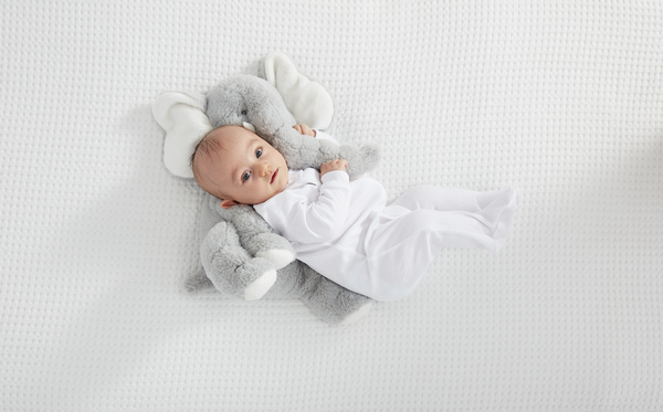 Baby with Elephant Plush
