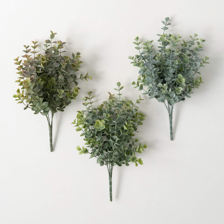 Two Tone Eucalyptus Bushes