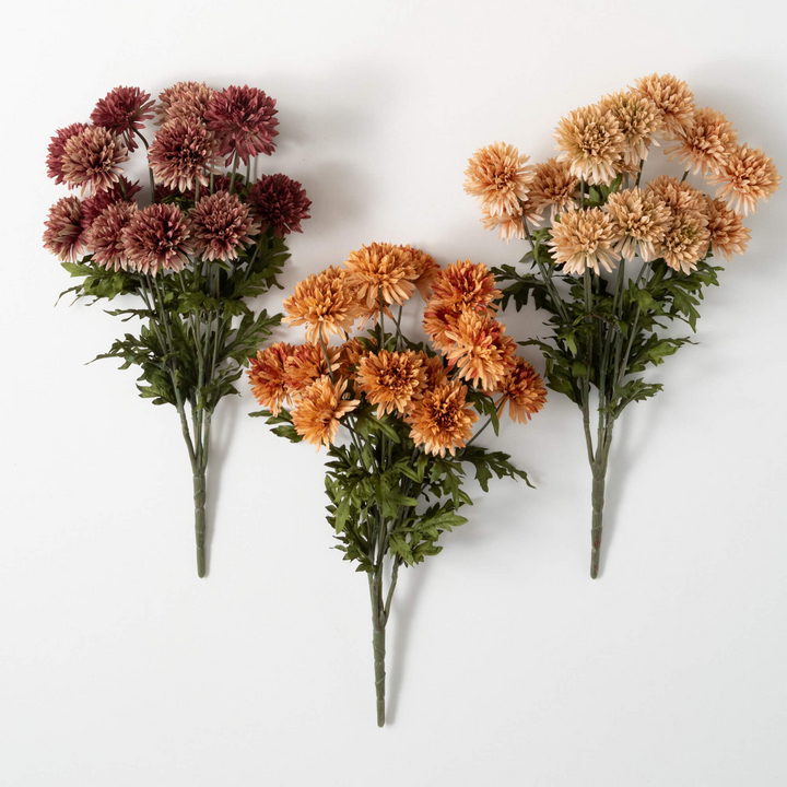 Straw Flower Bush