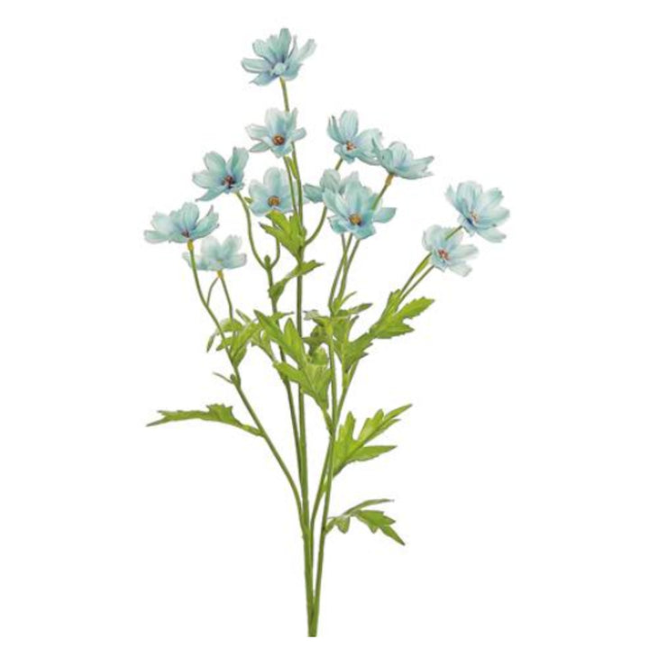 Aqua Blue Mini Cosmos Spray