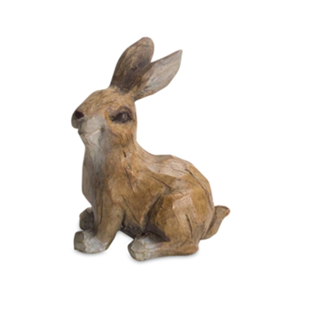 Brown Playful Rabbits