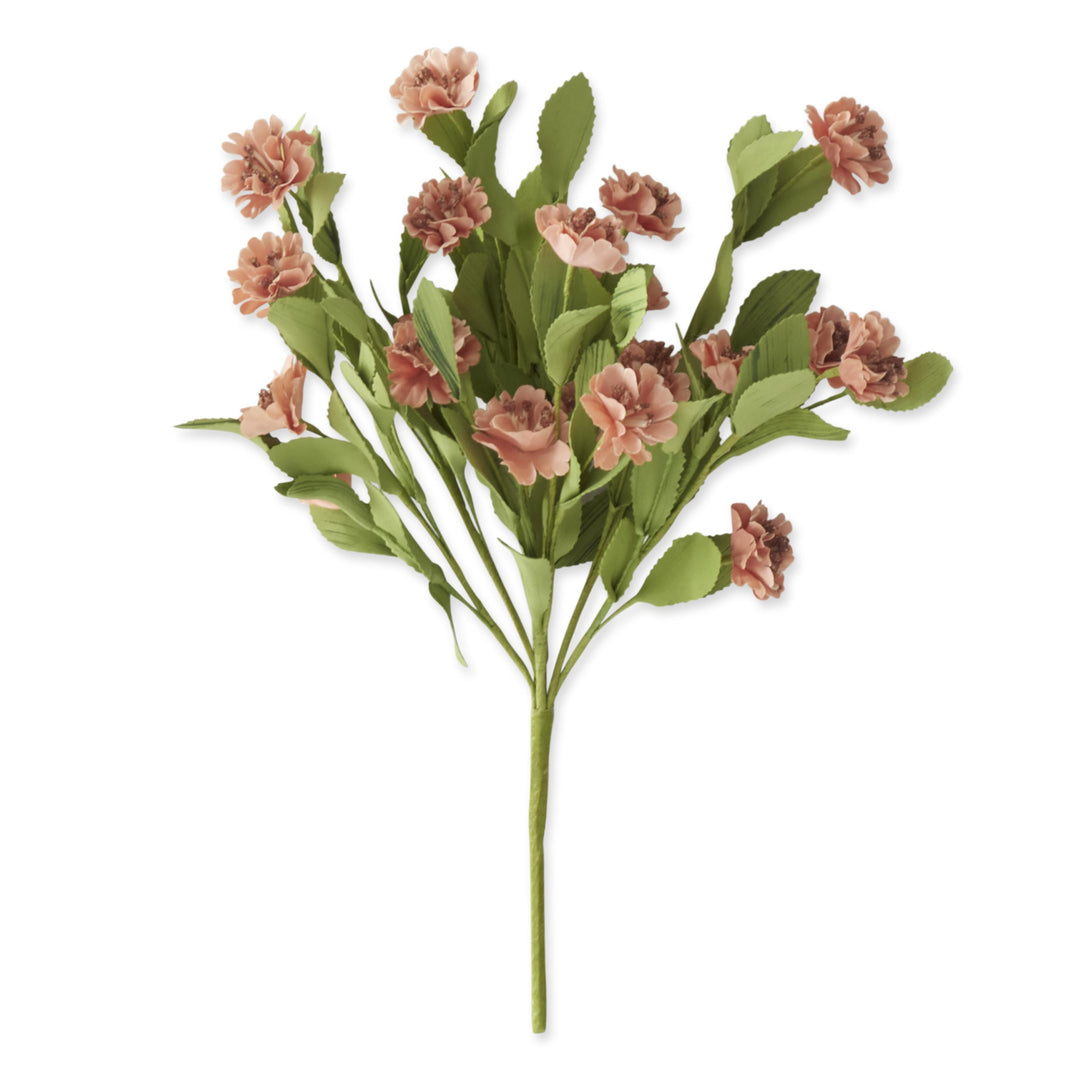 Coral Dianthus Spray