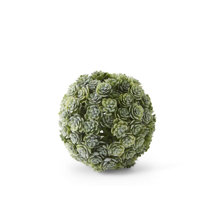 Succulent Ball