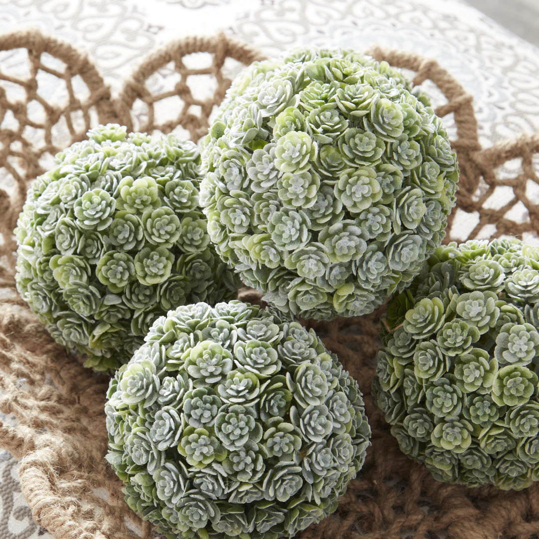 ball succulent Succulent Ball – Blue Dahlia Designs