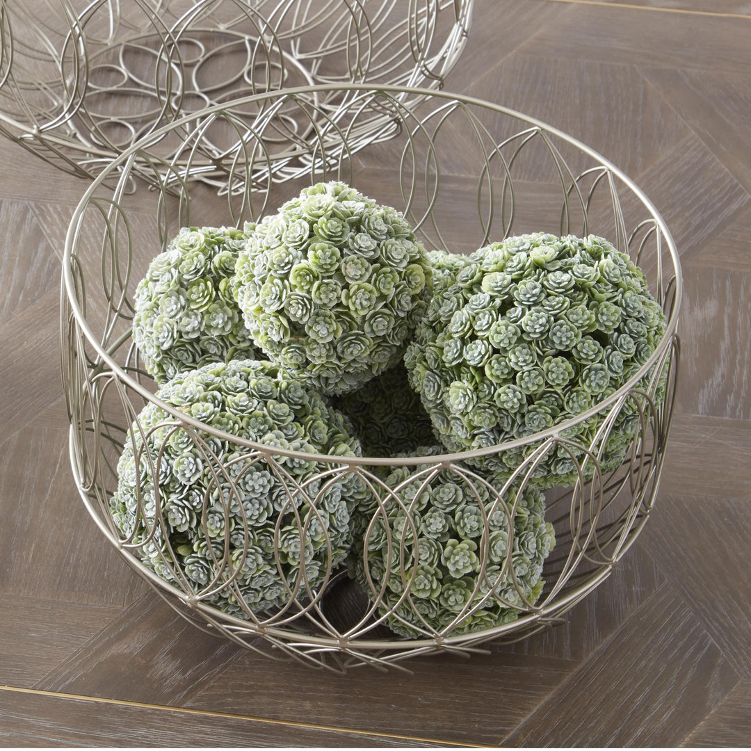 ball succulent plant Succulent Ball – Blue Dahlia Designs