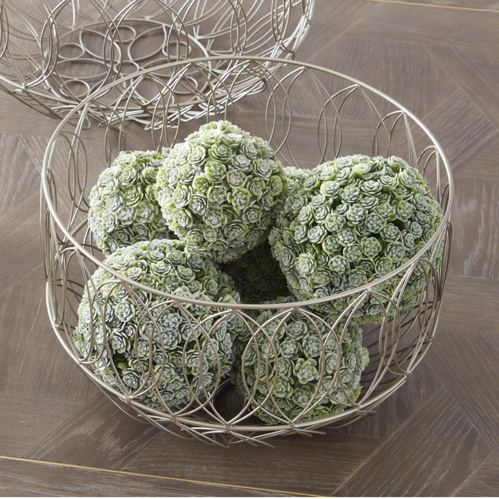 Succulent Ball