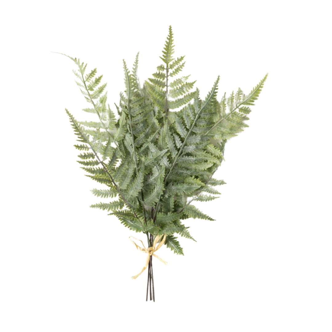Green Fern Bushes