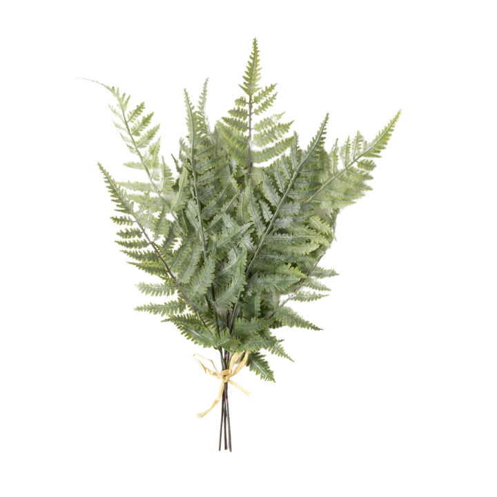 Green Fern Bushes