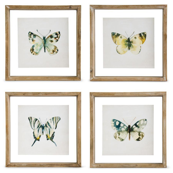 Whitewashed Shadowbox Framed Butterfly Prints