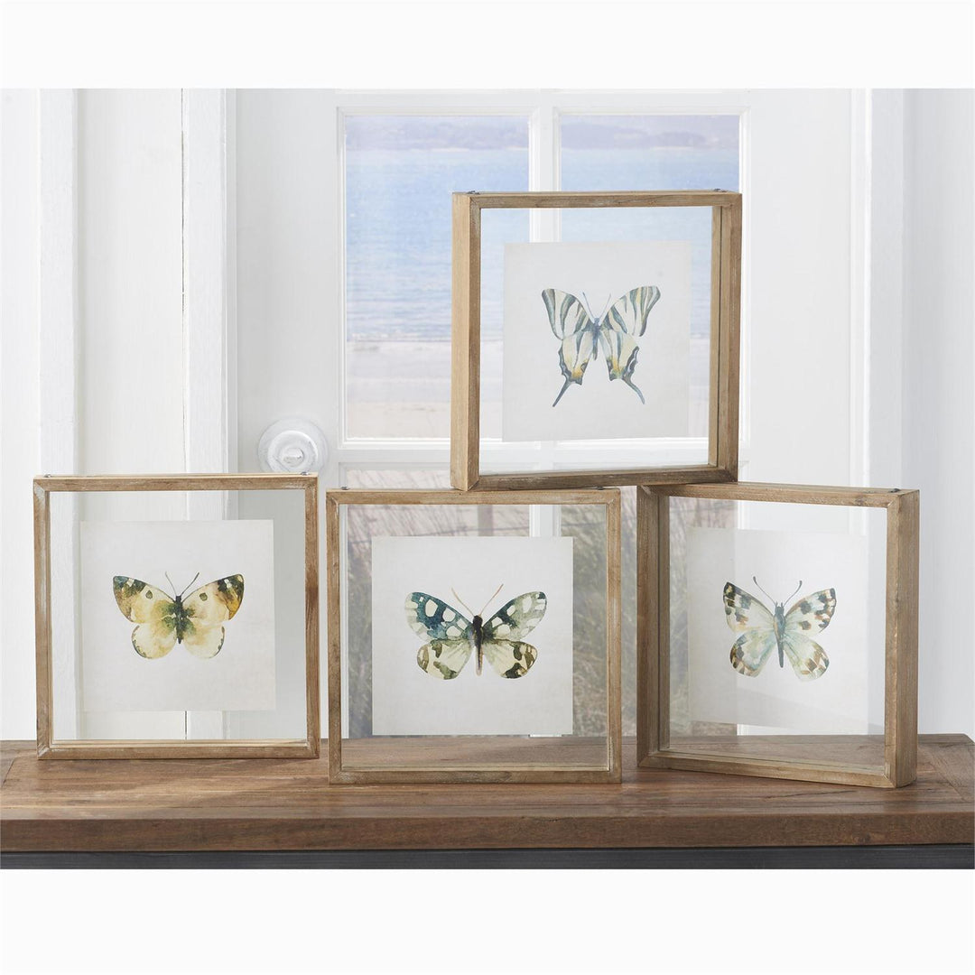 Whitewashed Shadowbox Framed Butterfly Prints