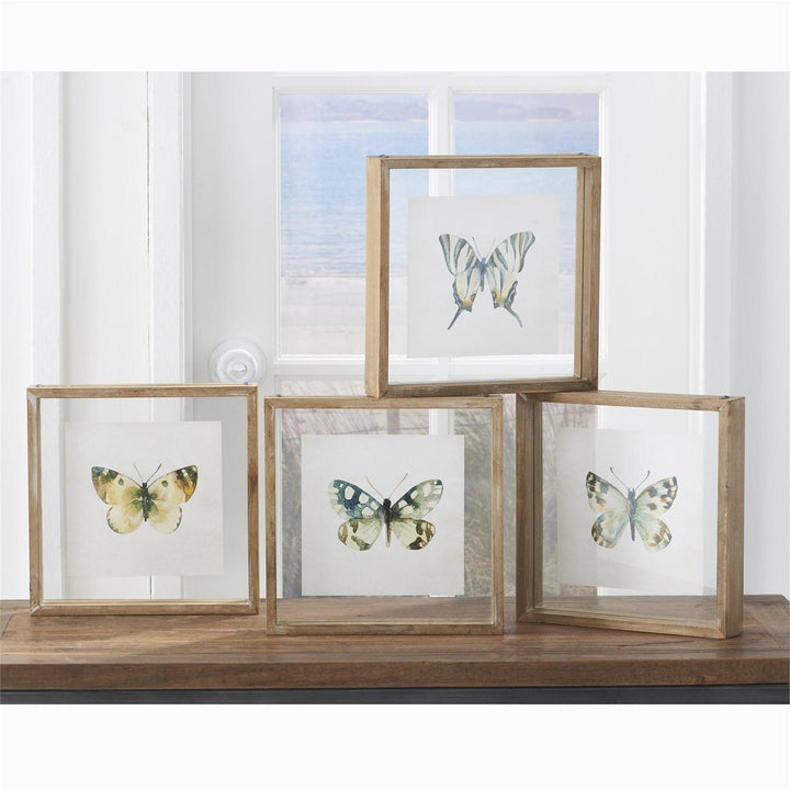Whitewashed Shadowbox Framed Butterfly Prints