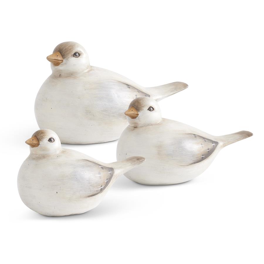 Soft Gray and Blue Sitting Birds