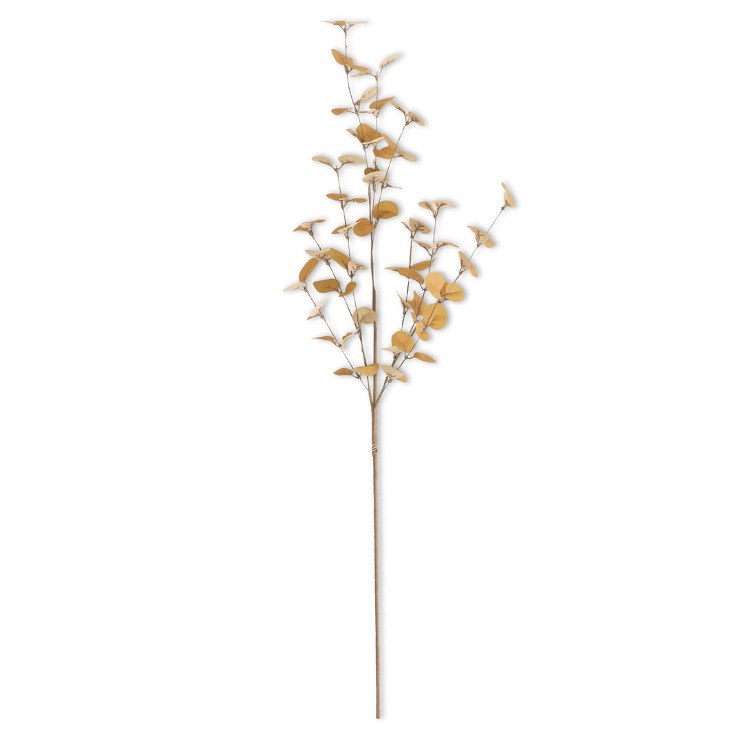 Two-Toned Dark Yellow Eucalyptus Stem