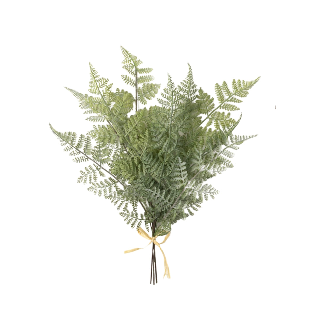 Green Fern Bushes