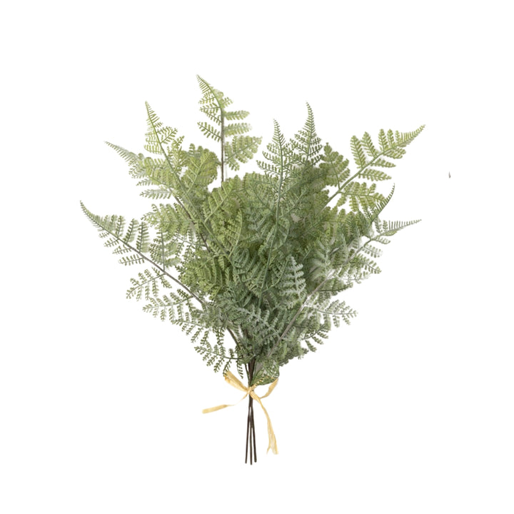 Green Fern Bushes