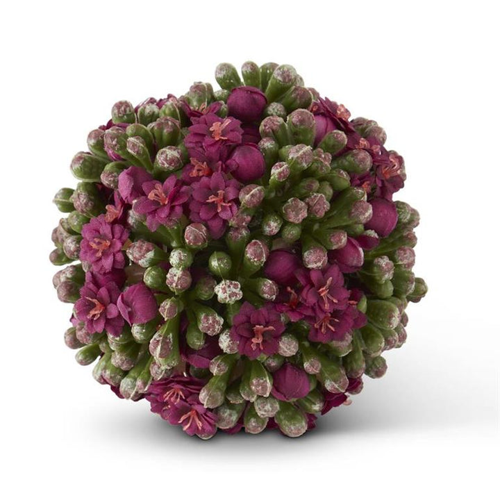Kalanchoe Ball