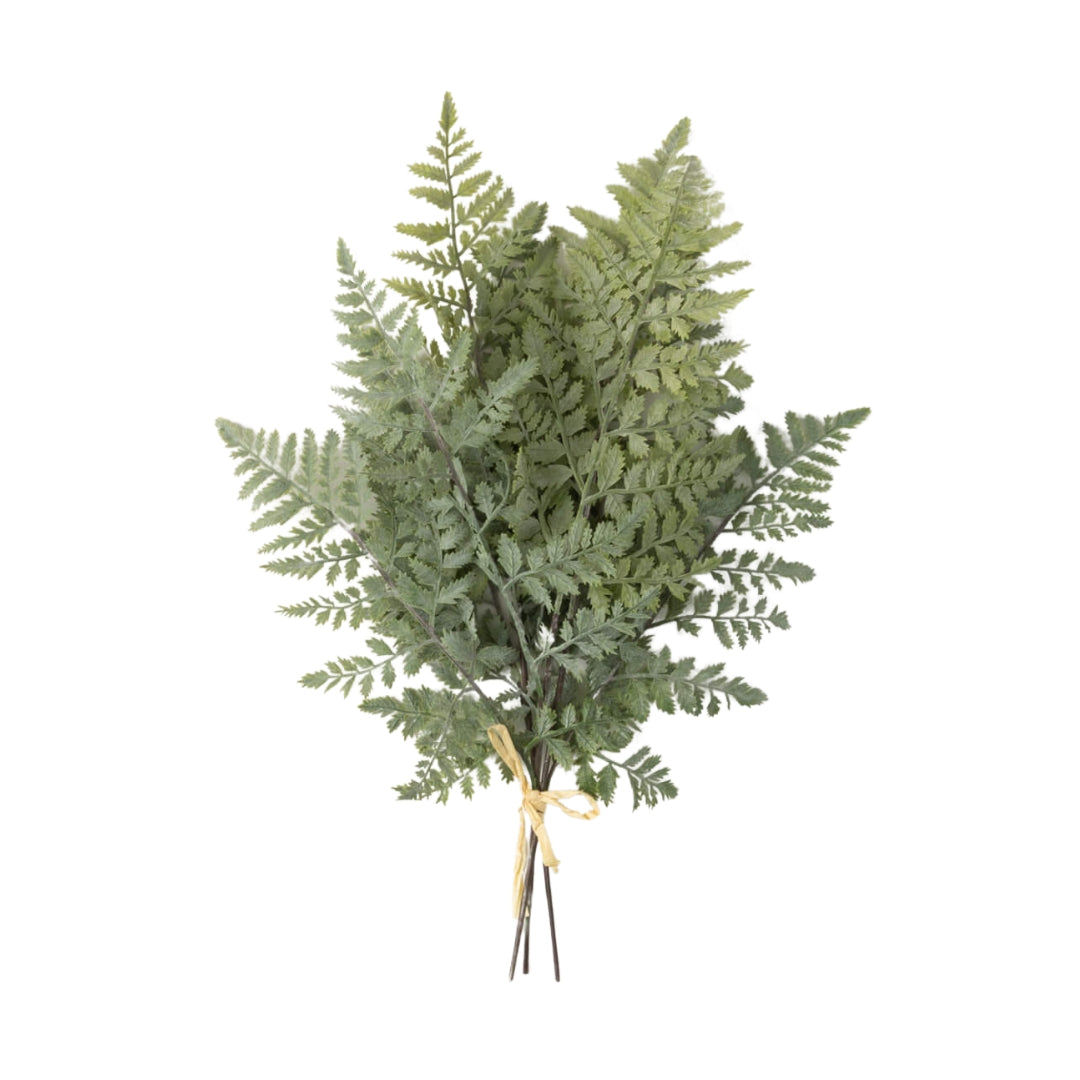 Green Fern Bushes
