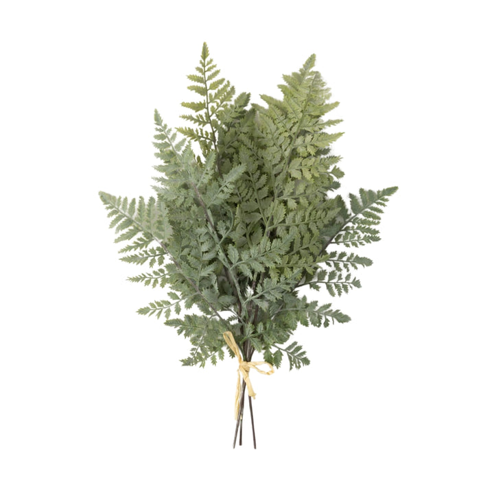 Green Fern Bushes