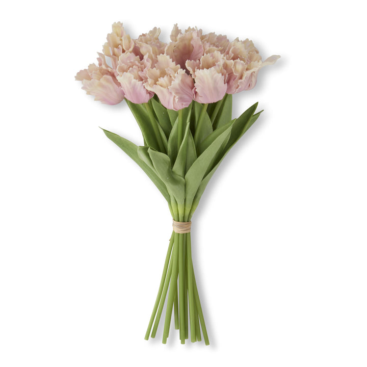 Pink & Cream Real Rouch Parrot Tulip Bundle