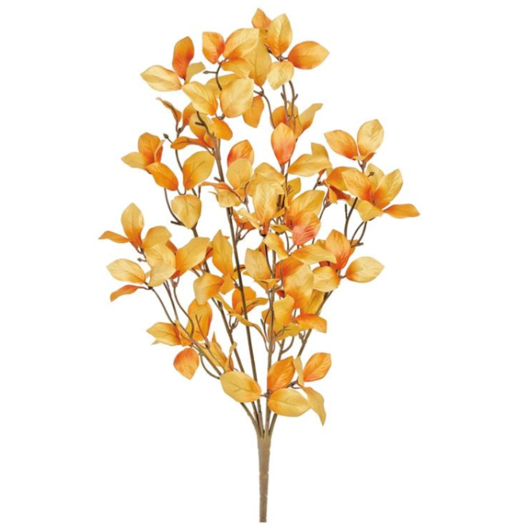 Fall Leaf Bush