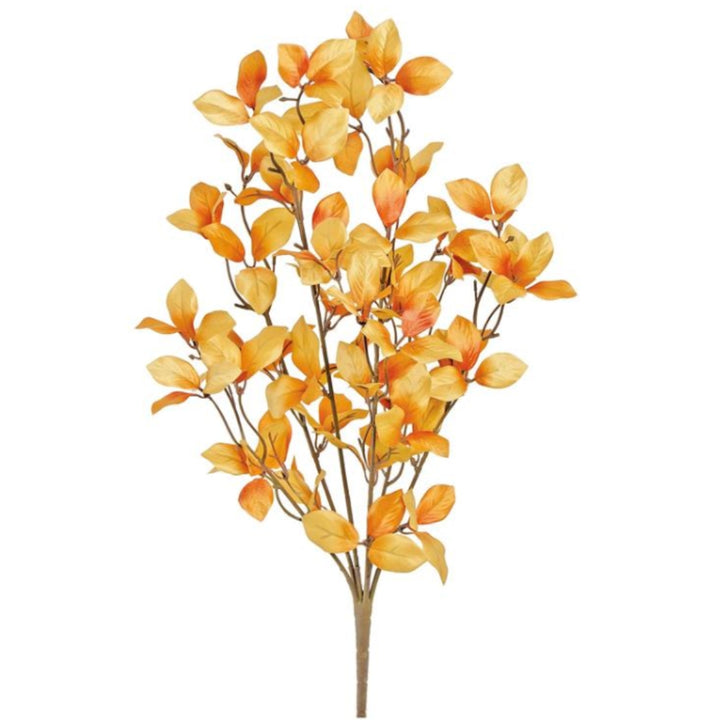 Fall Leaf Bush