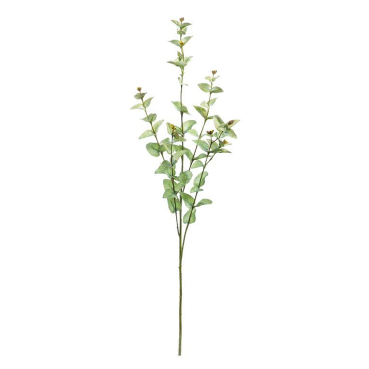 Sage Green Cider Gum Spray
