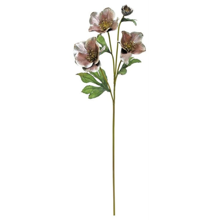 Christmas Rose Spray