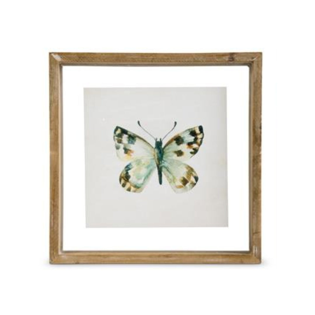 Whitewashed Shadowbox Framed Butterfly Prints